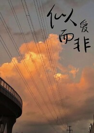 似爱而非by橙子雨免费阅读小说