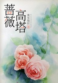 小说蔷薇